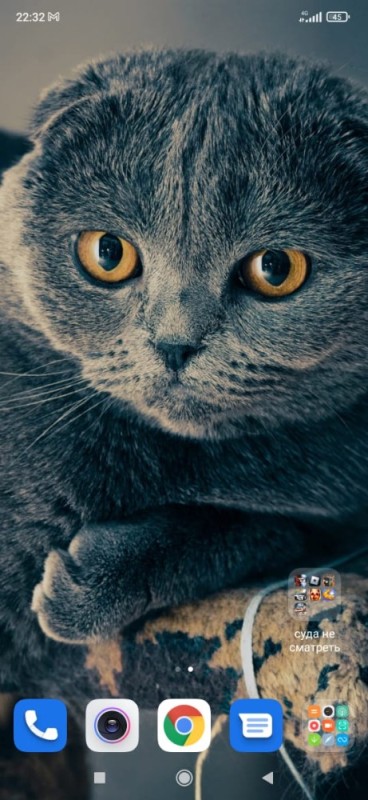 Create meme: lop-eared , Scottish fold , Scottish fold cat