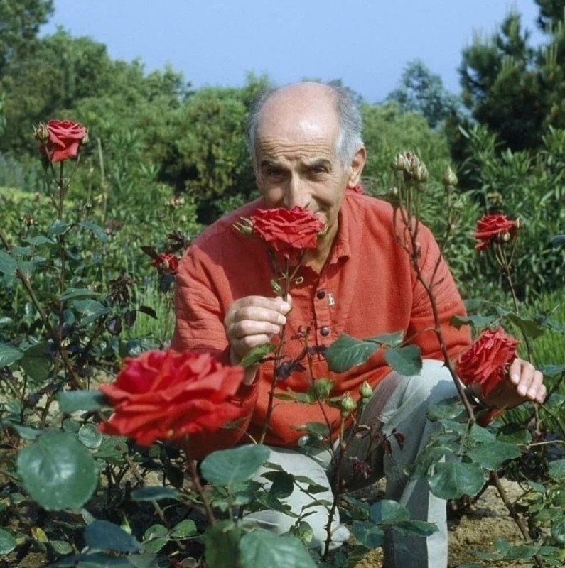 Create meme: louis de funes, rosa louis de funes, Funes