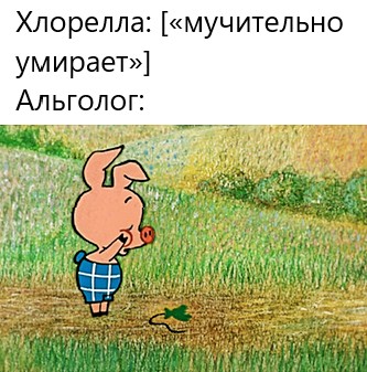 Create meme: Piglet from Winnie the Pooh Russia, Piglet bumknulo, Piglet from Winnie the Pooh