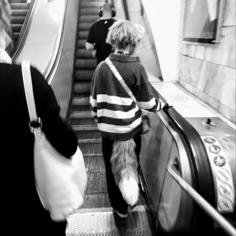Create meme: metro escalator, cat in the subway, people in the subway