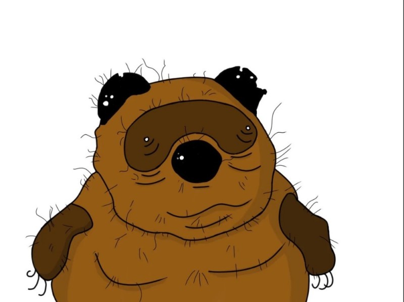 Create meme: stoned winnie the pooh, believe , believe fluff