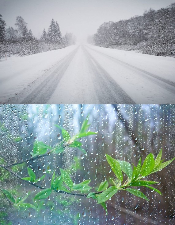 Create meme: rain in the forest, snow , raindrops