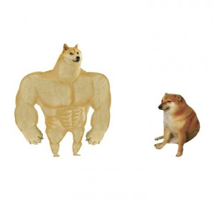 Создать мем: качок доге и чимс, собака с мускулами из мема, накаченный doge