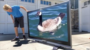 Create meme: goose painting, Barnacle goose photo, canadian goose bird