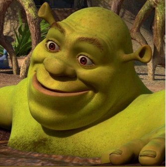 Create meme: Shrek , Shrek zabumba, Washington, George Constant