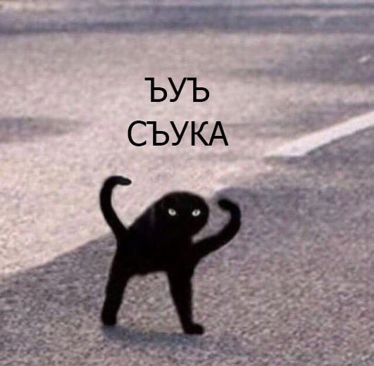 Create meme: black cat joy, black cat meme joy, memes of the b - side