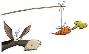 Создать мем: насекомое, ослик бежит за морковкой, осел и морковка