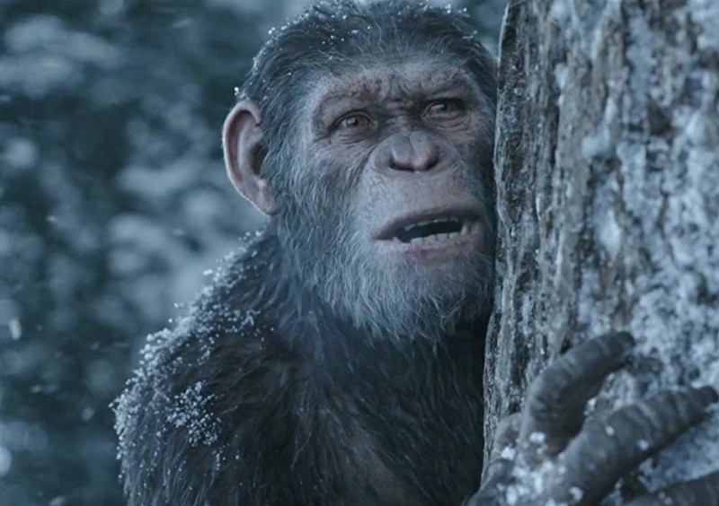 Создать мем: планета обезьян 1 коба, the apes, цезарь восстание планеты обезьян