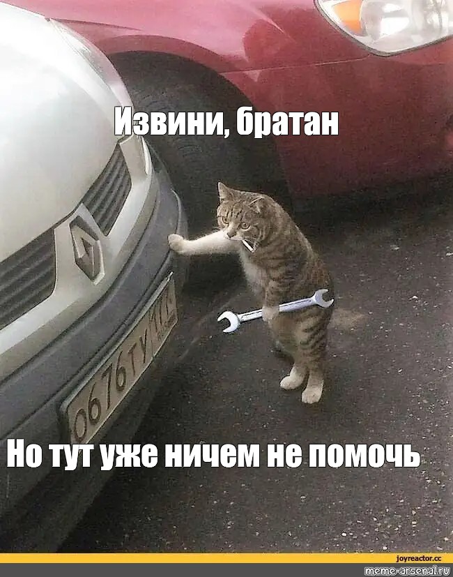 Кот механик. Кот чинит машину. Кот ремонтирует. Кот автомеханик Мем. Тут уже не починить кот.