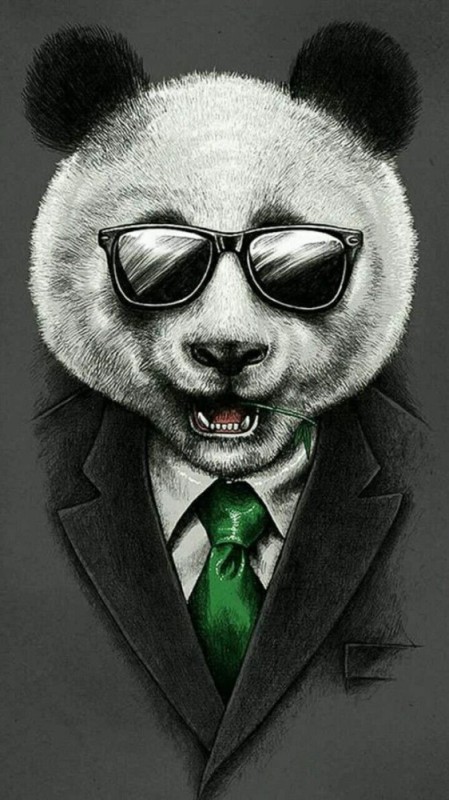 Создать мем: тимофей осколков сергеевич 1983, панда аватар, панда
