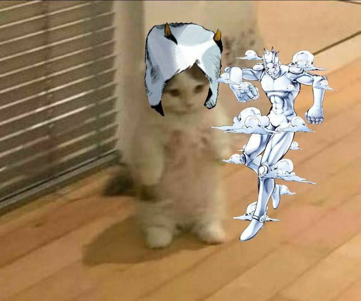 Создать мем: котик милый мем с крыльями феи, аниме кошки, аниме смешные