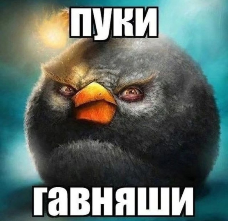 Создать мем: энгри бердз черная птица, черная птичка энгри бердз, энгри бердз черный