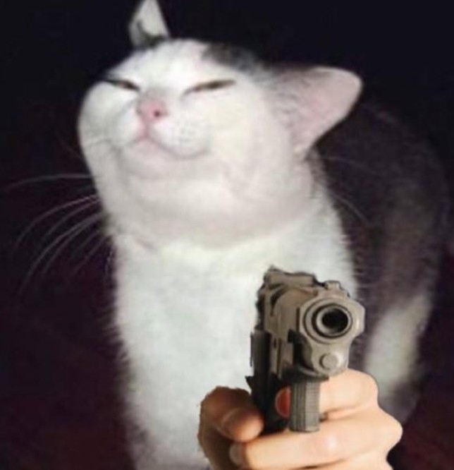 Создать мем: кот хитрый, котик с пистолетом, котенок с пистолетом