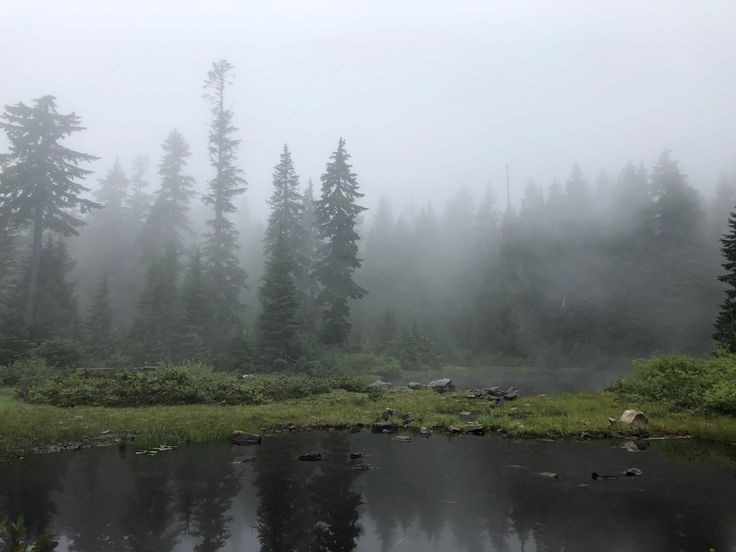 Create meme: foggy lake ergaki, taiga in the fog, foggy landscapes
