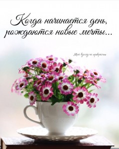 Create meme: lovely flowers, beautiful flowers, good morning good