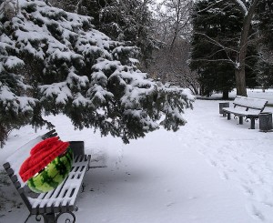 Создать мем: снежный парк, лавочка в снегу, зимний парк