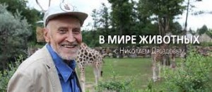 Создать мем: дроздов в мире животных, дроздов николай николаевич в мире животных, в мире животных с николаем дроздовым