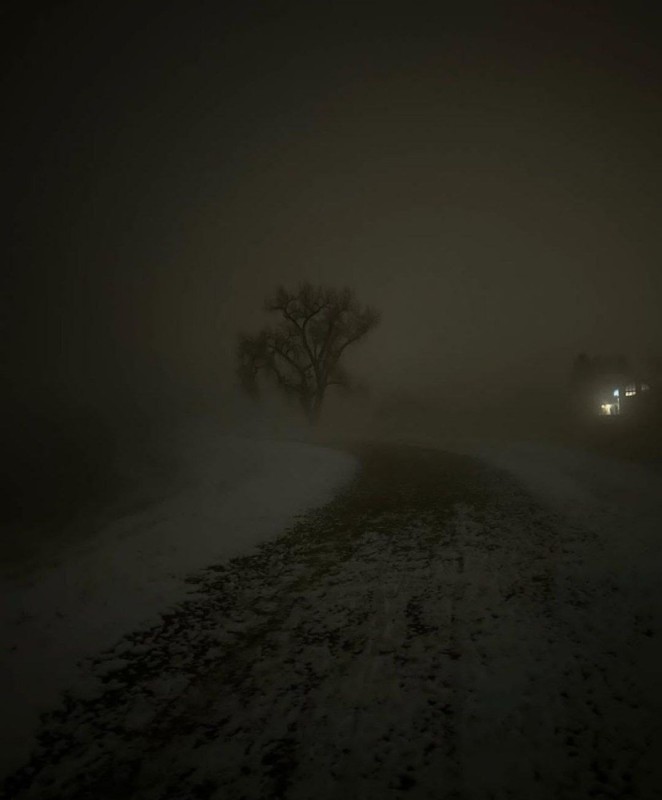 Создать мем: густой туман, зима ночь, природа
