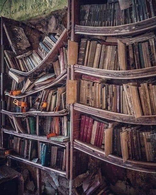 Create meme: shelf of books, an abandoned library, natural phenomena