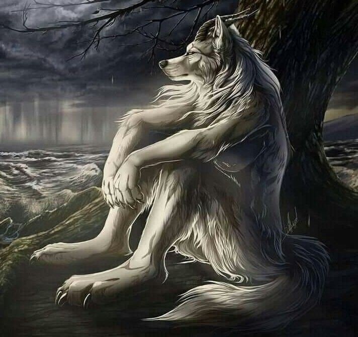 Create meme: the mystical wolf, wolf fantasy, werewolves wolves