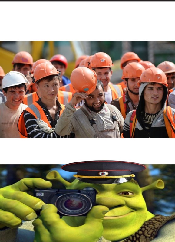 Create meme: shrek memes, Shrek with camera meme, Shrek meme 