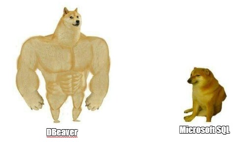 Create meme: the pumped-up dog from memes, doge Jock, the dog is a jock meme