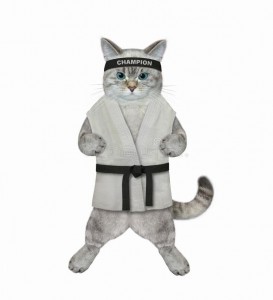 Create meme: gray cat, cat costume, cat