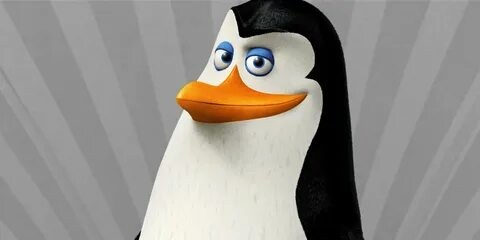 Create meme: the penguins of Madagascar Kowalski, rico penguins from madagascar, penguin rico