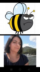 Создать мем: шмель, наклейки пчёлы, пчела мем