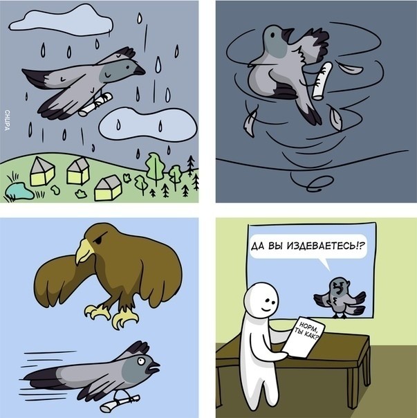 Create meme: the post pigeon funny, comics , funny comics 