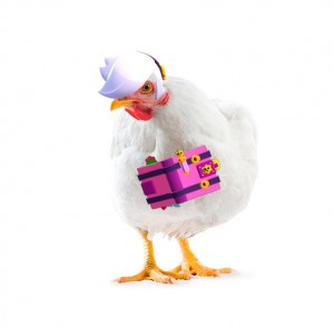 Создать мем: серая курица на белом фоне, курица на белом фоне, белая курица