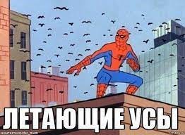 Create meme: memes Spiderman, meme with spider-man, spider-man