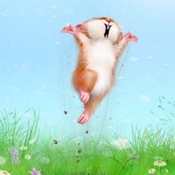 Create meme: the hamster smiles, dancing hamster, alexey dolotov 's cats