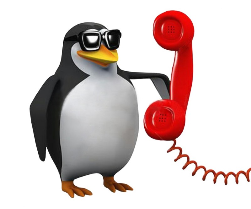 Create meme: Hello this meme penguin, the penguin with the phone, penguin with phone meme