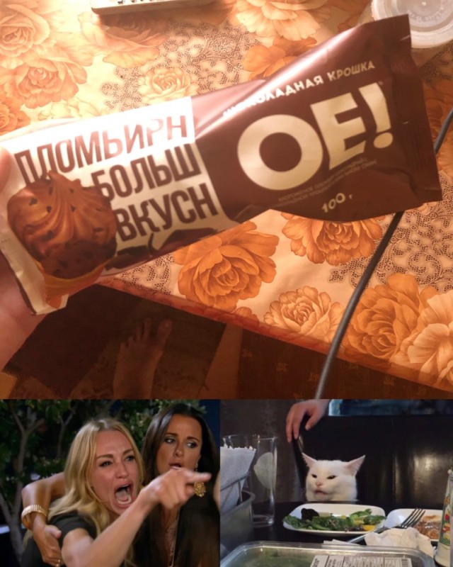 Создать мем: мемы с котами, кот, мем с котом и двумя женщинами