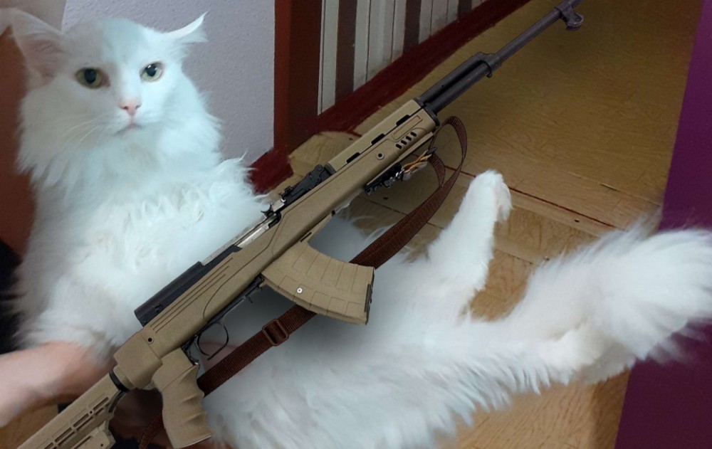 Создать мем: кот отстреливается, кот, кошка с пулеметом