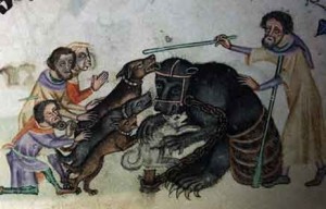 Создать мем: luttrell, middle ages, средневековый бестиарий медведь
