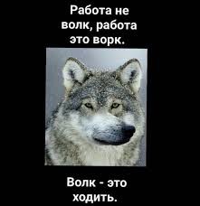 Создать мем: мудрый волк мем, волк волк, волк