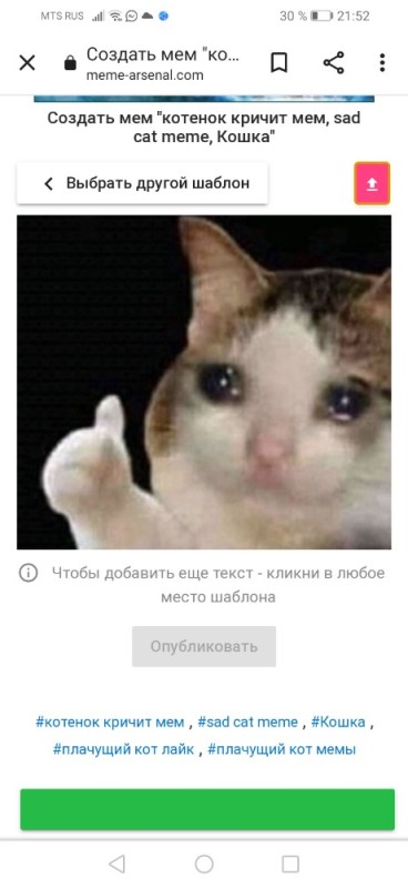 Create meme: memes with cats , cat sad, crying cat meme