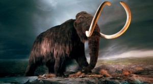 Создать мем: мамонты вымерли, мамонт mammuthus primigenius, заскамил мамонтов мамонт