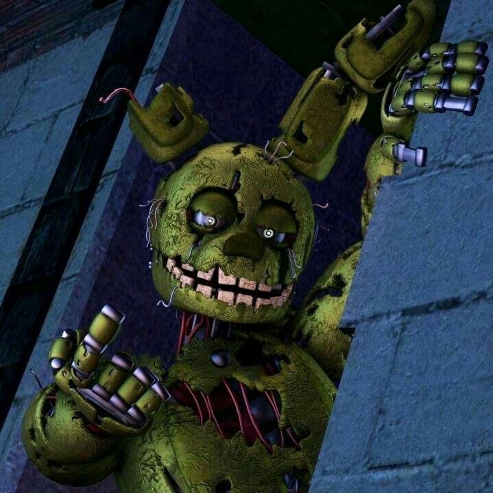 Create meme: fnaf 3 , springtrap fnaf 3, spring ladder fnaf