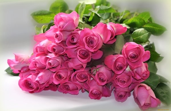 Create meme: pink roses bouquet, pink roses greeting card, gorgeous pink roses