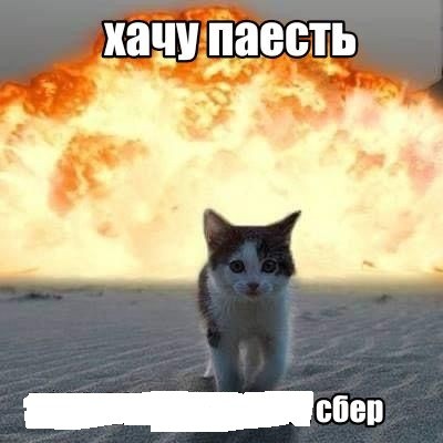 Create meme: cat , epic cat, cat explodes meme