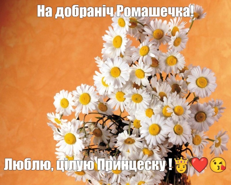 Create meme: daisies bouquet , Daisy , card a bouquet of daisies