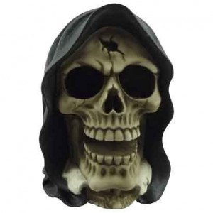 Create meme: the skull in the hood, skull mask, skull