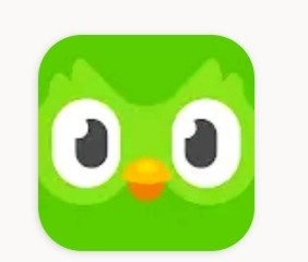 Создать мем: duolingo, duolingo english, дуолинго иконка