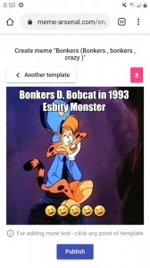 Создать мем: чокнутый мультсериал, чокнутый рыжая рысь, bonkers bobcat disney