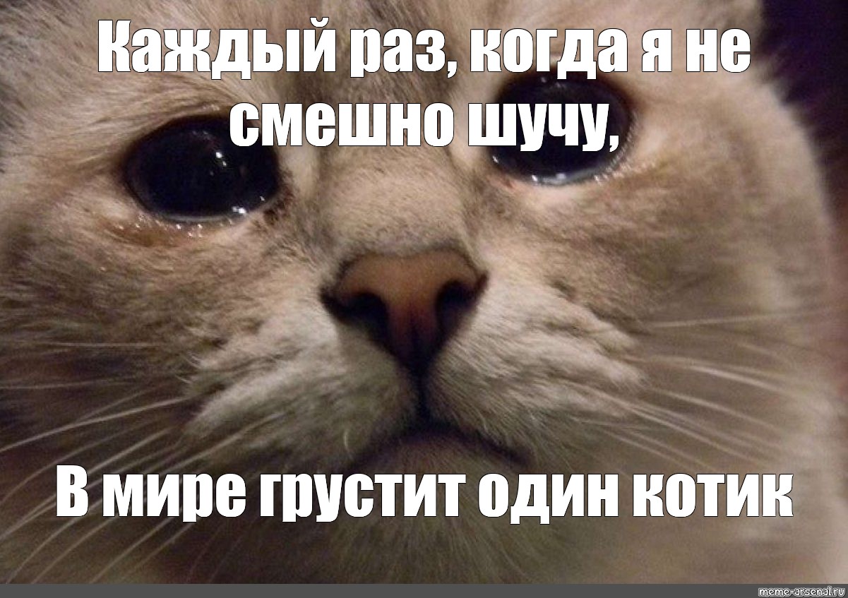 Скинь расскажи. Мемы с котиками. Кот Мем. Плачущий кот. Плачущий кот Мем.