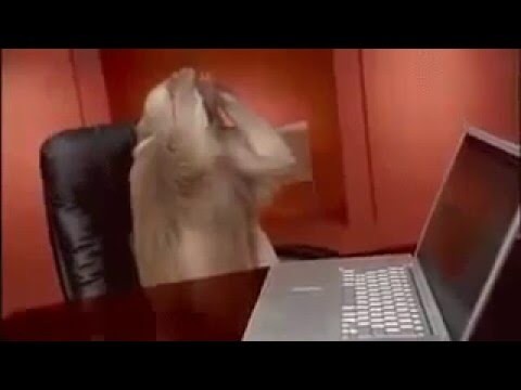 Create meme: the monkey behind the computer, the monkey behind the computer, monkey behind a computer