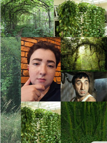 Create meme: plant , nature jungle, nature 